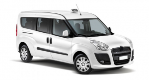 Коврики в салон (2 ряда) Fiat Doblo Maxi II 2015-нв