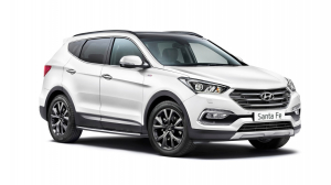 Коврики в салон (2 ряда) Hyundai Santa Fe IV 2018-2020 (5 мест)