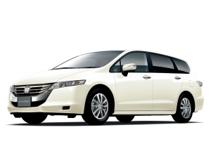 Коврики в салон (2 ряда) Honda Odyssey IV 2008-2013 