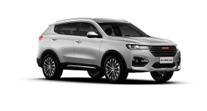 Коврики в салон (2 ряда) Haval Jolion (полный привод) 2021-н.в.